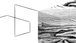 Carolin Reibel - Innenarchitektur